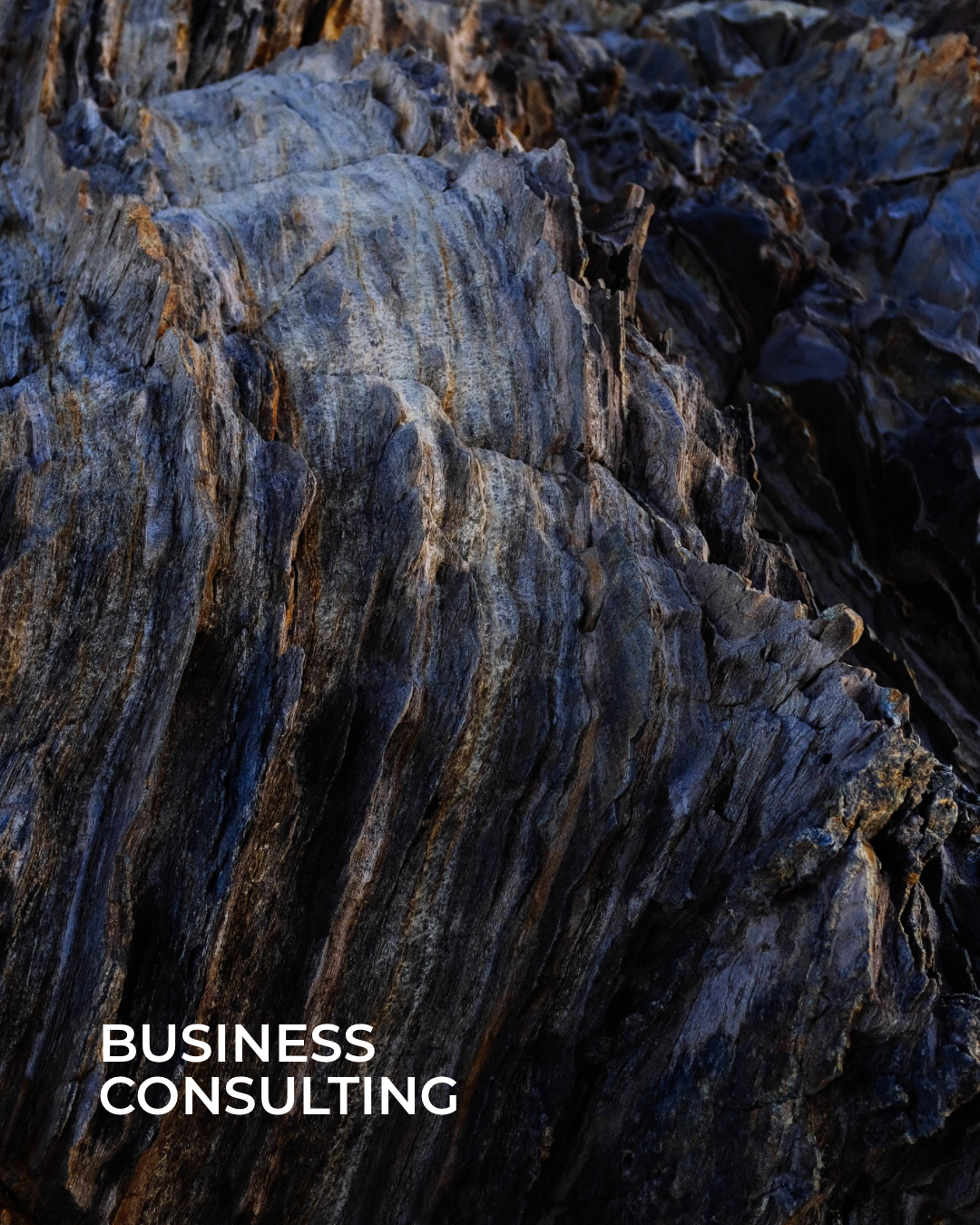 Business Consulting & Brand Development