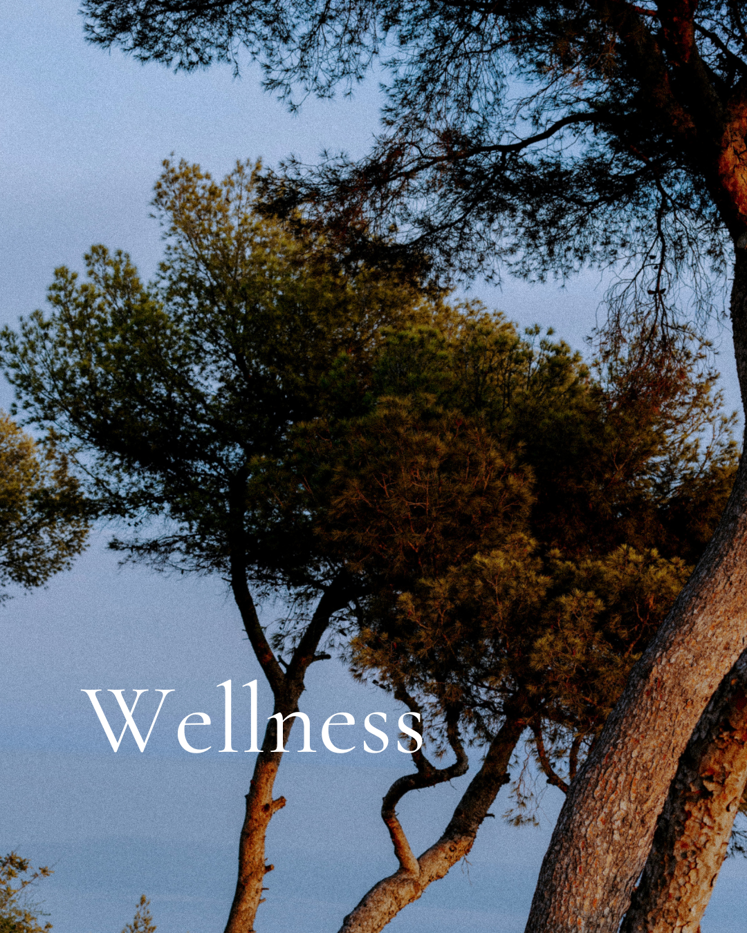 Wellness
